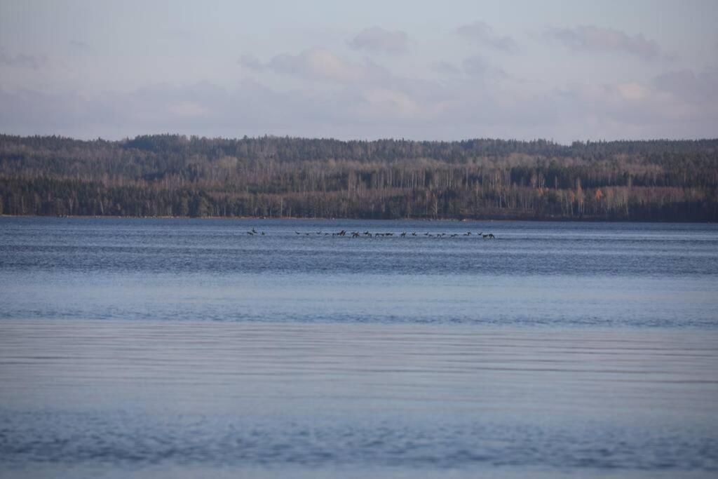 Sjoenaera Stuga Med Bat Och Bastu Ramkvilla Exterior foto